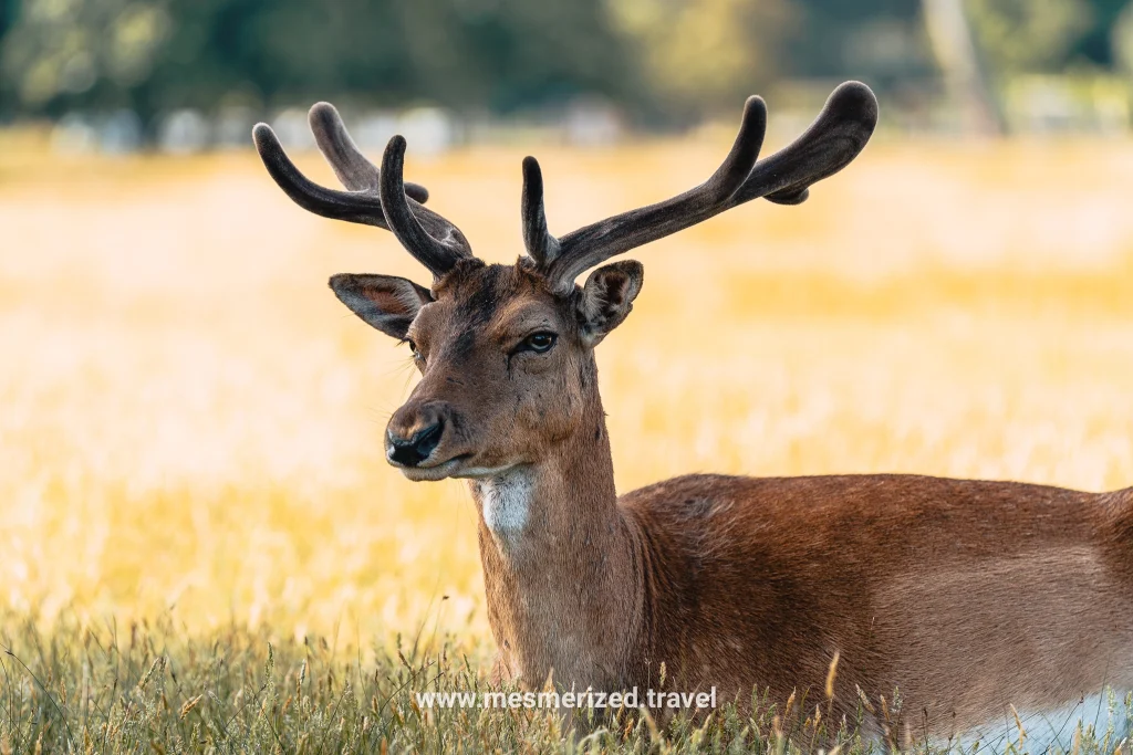 7-day Tuscany itinerary