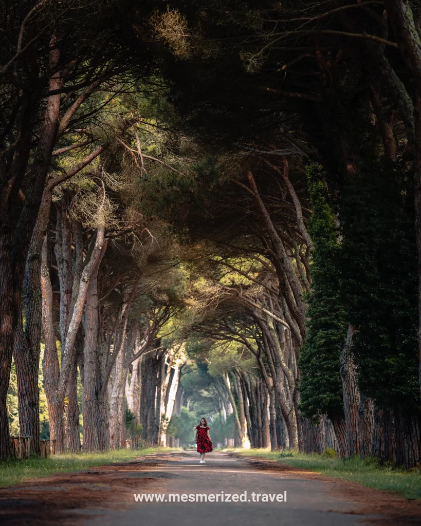 Tuscany road trip guide