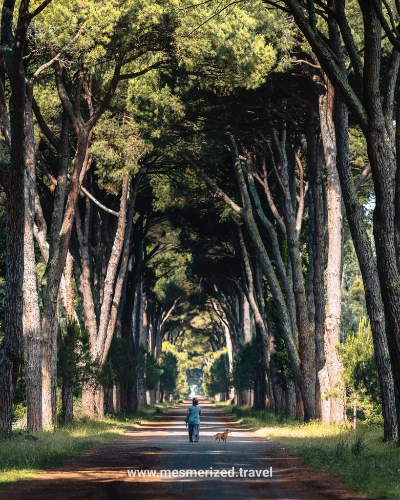 7-day Tuscany itinerary