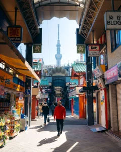 things to do in Tokyo