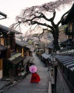 top things to do in kyoto