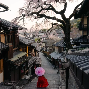 top things to do in kyoto