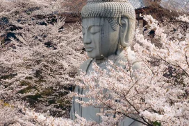 Tsubosaka-dera Temple day trip