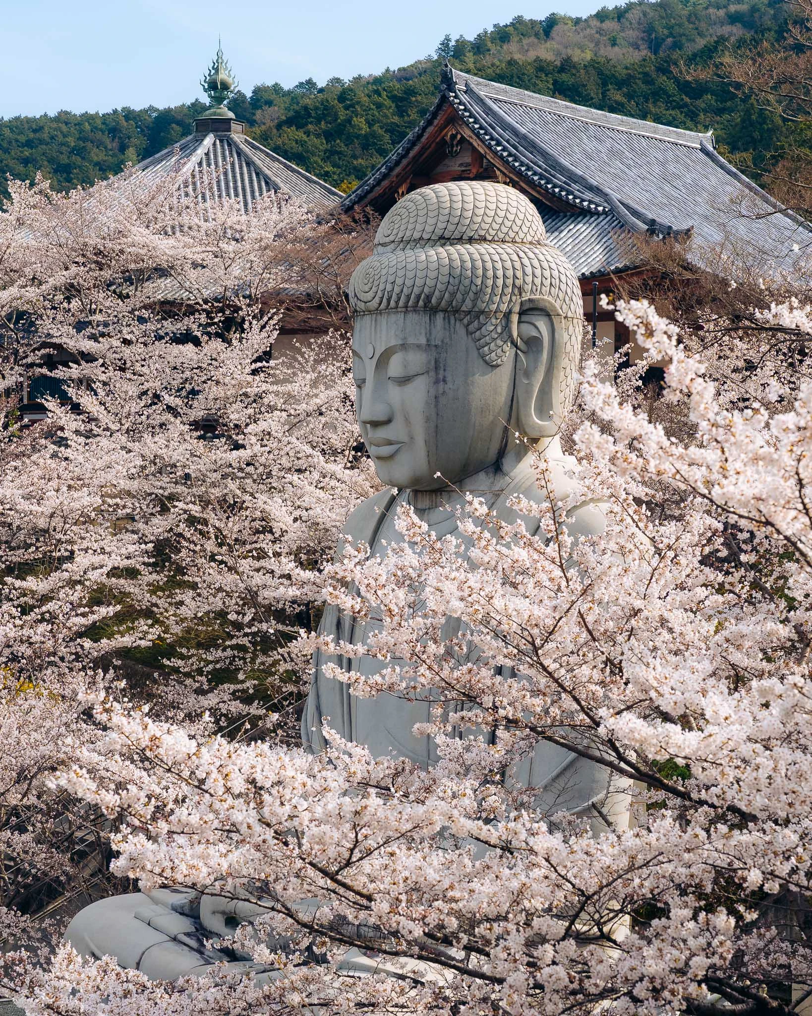 Tsubosaka-dera Temple