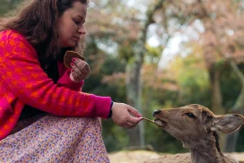 day trip to Nara