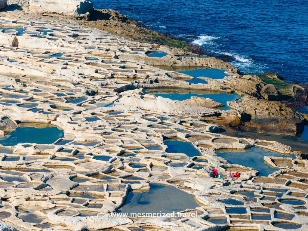 20251222 dji 20251222124547 0224 d