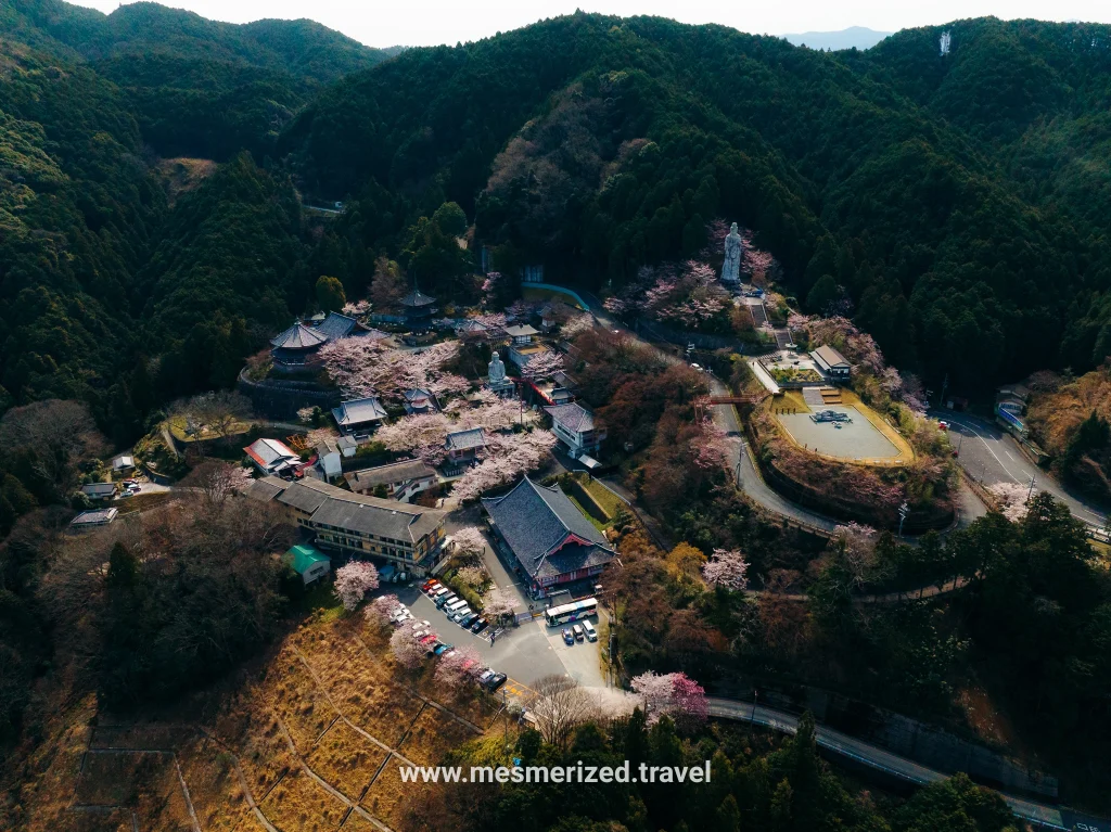 renting a car in Japan