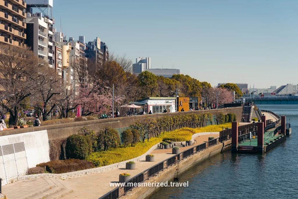 5-day Tokyo itinerary