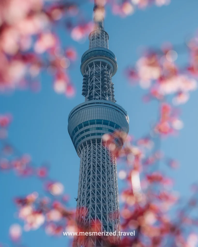 5-day Tokyo itinerary