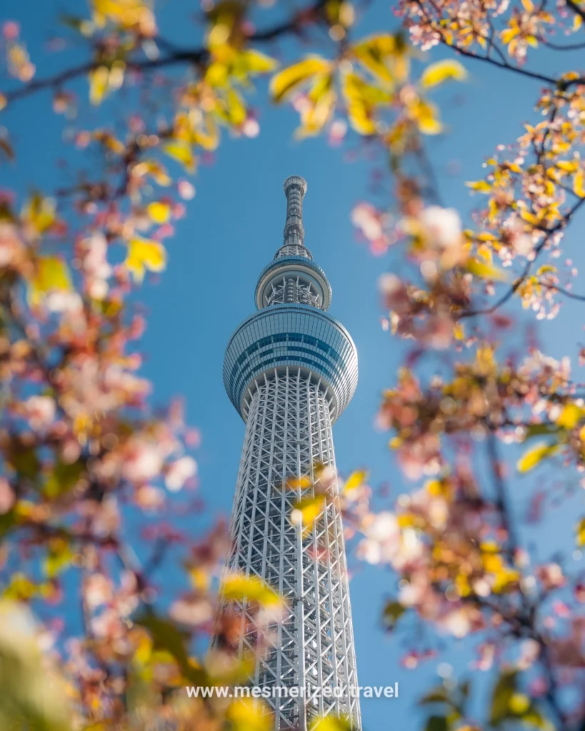 5-day Tokyo itinerary