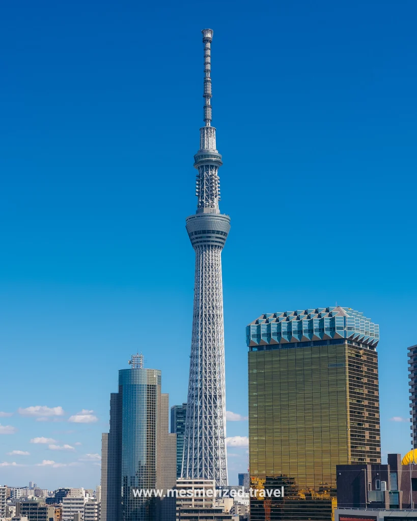 things to do in Tokyo