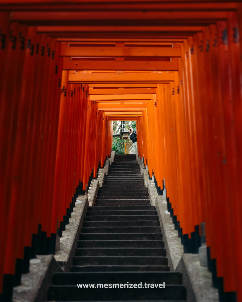 things to do in Tokyo