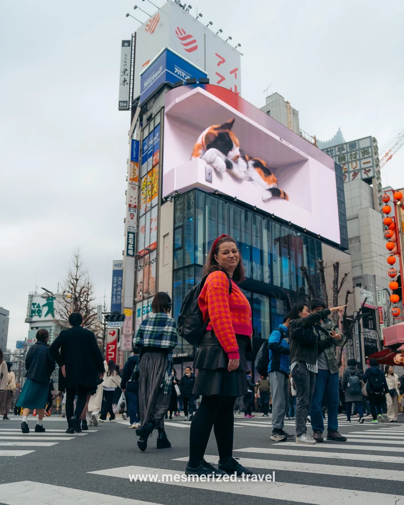things to do in Tokyo