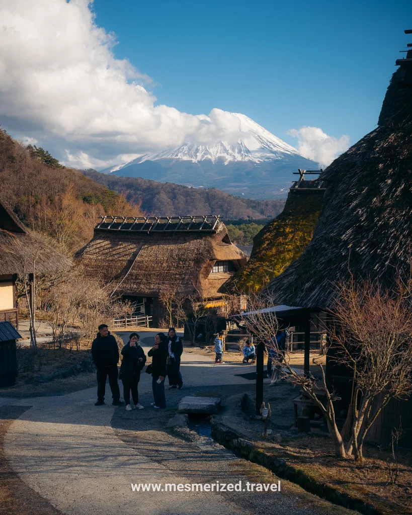Mt. Fuji viewpoints