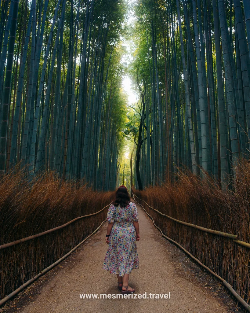 top things to do in kyoto