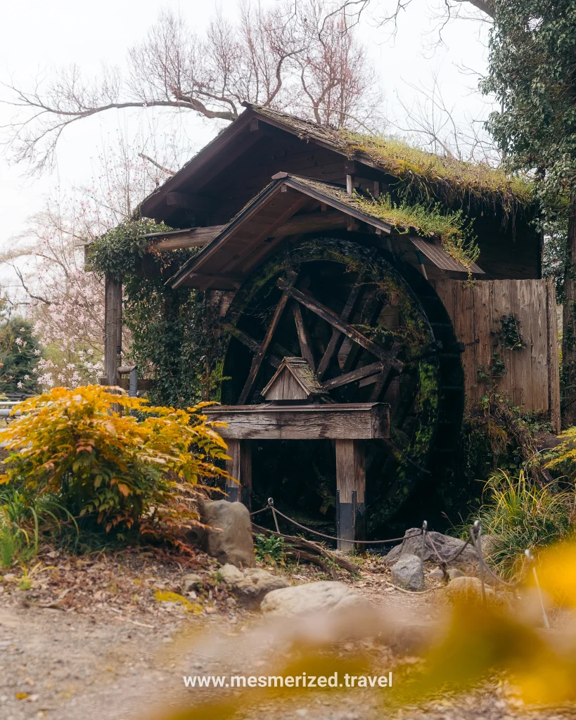 top things to do in kyoto