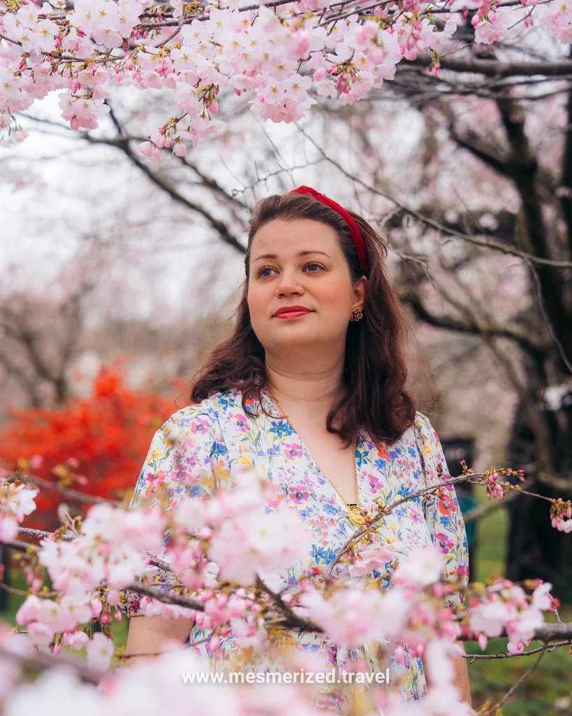 top things to do in kyoto