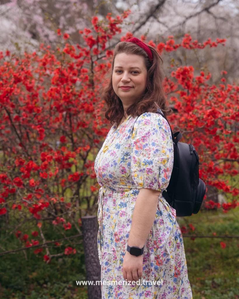 top things to do in kyoto