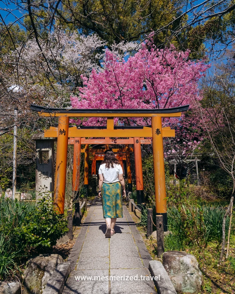 5 days in Kyoto