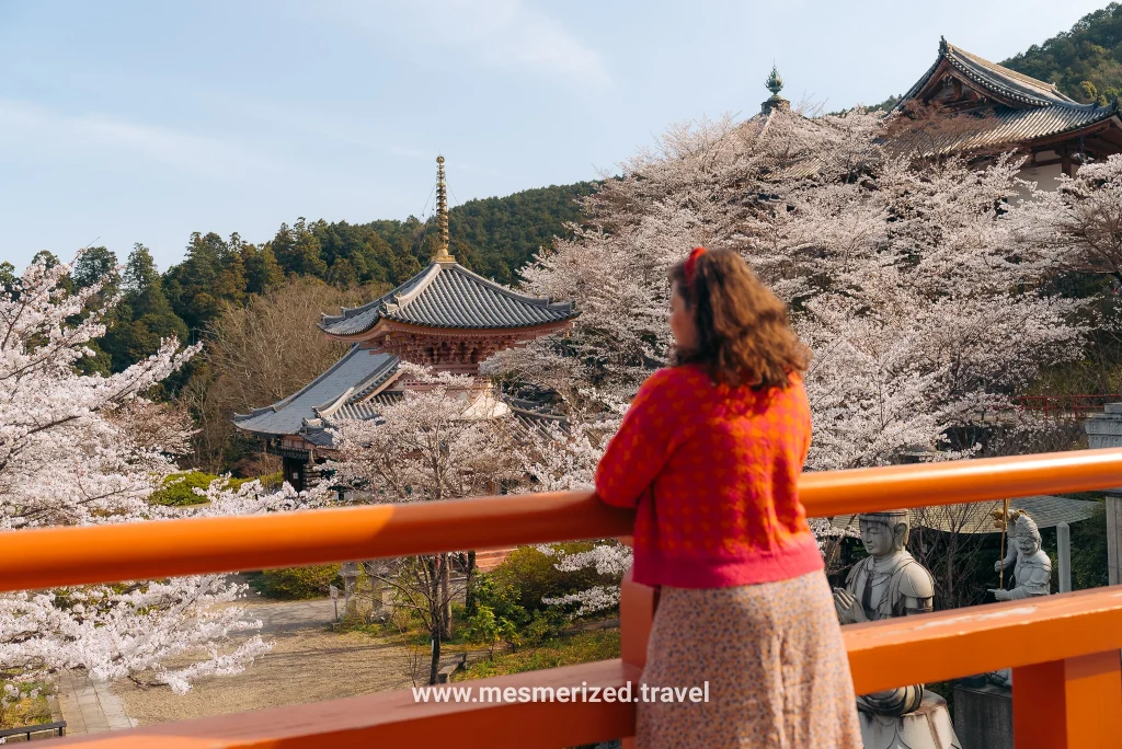 Tsubosaka-dera Temple day trip
