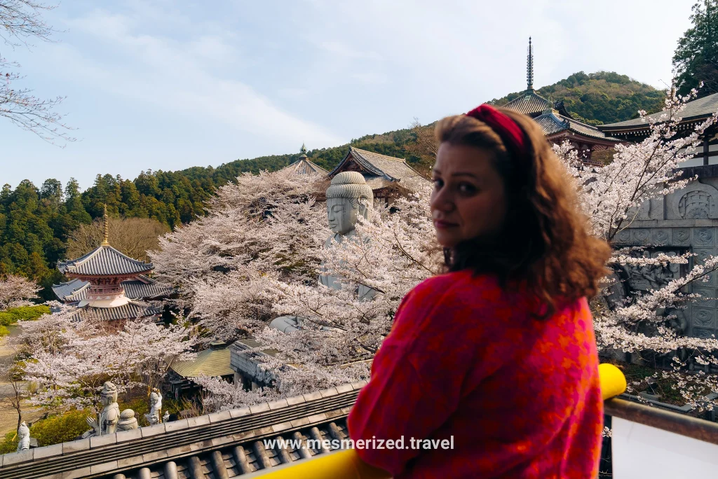 Tsubosaka-dera Temple day trip