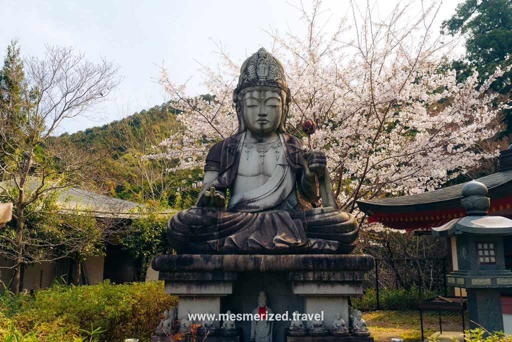 Tsubosaka-dera Temple day trip