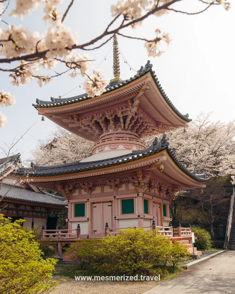 Tsubosaka-dera Temple day trip