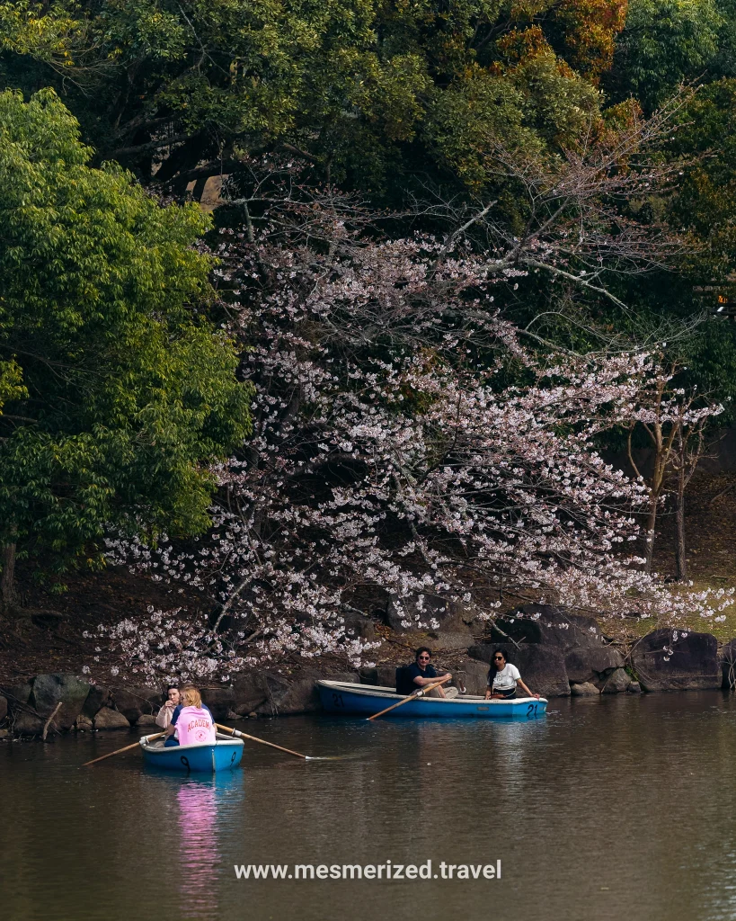 day trip to Nara