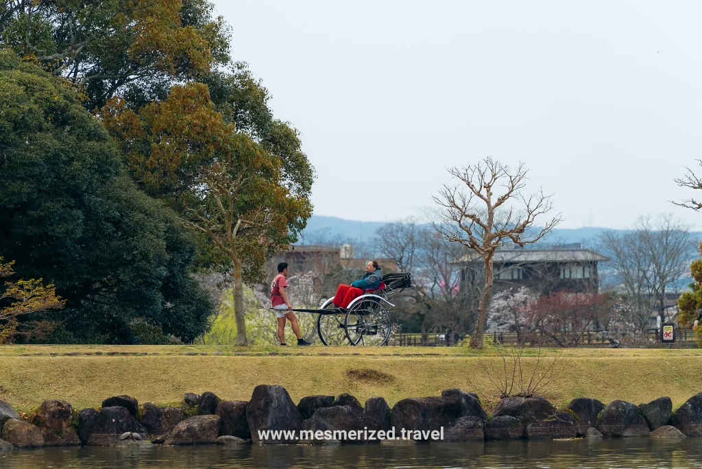 day trip to Nara