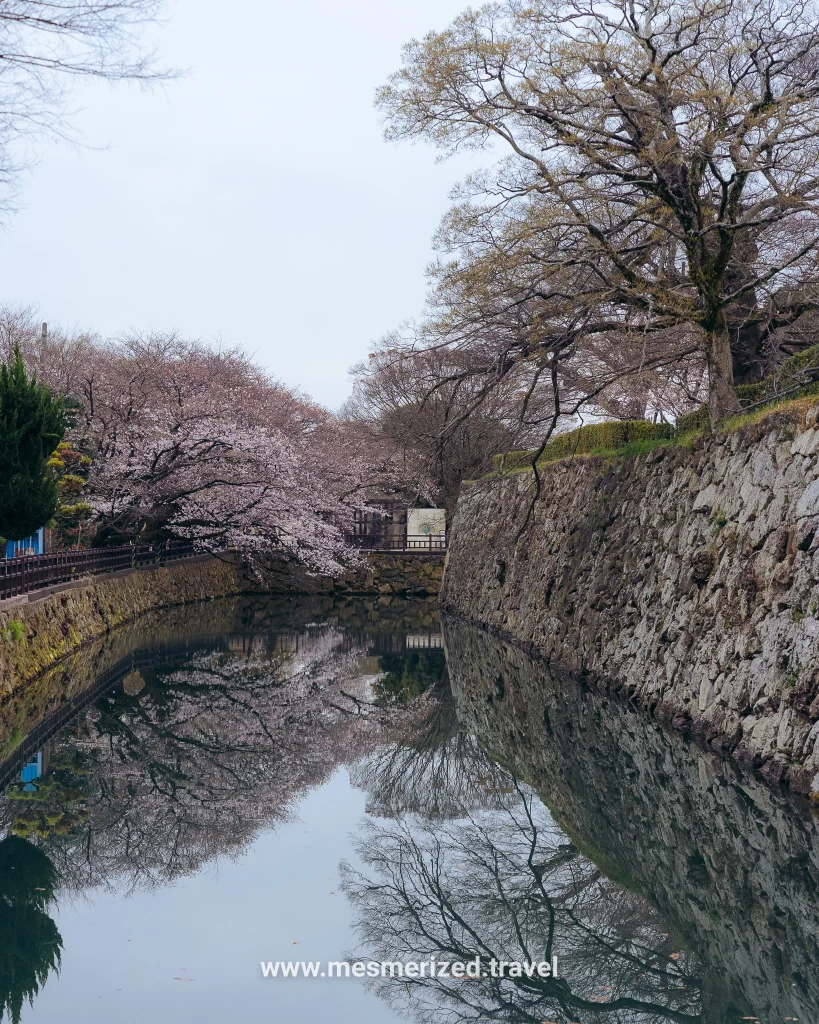 5 days in Kyoto